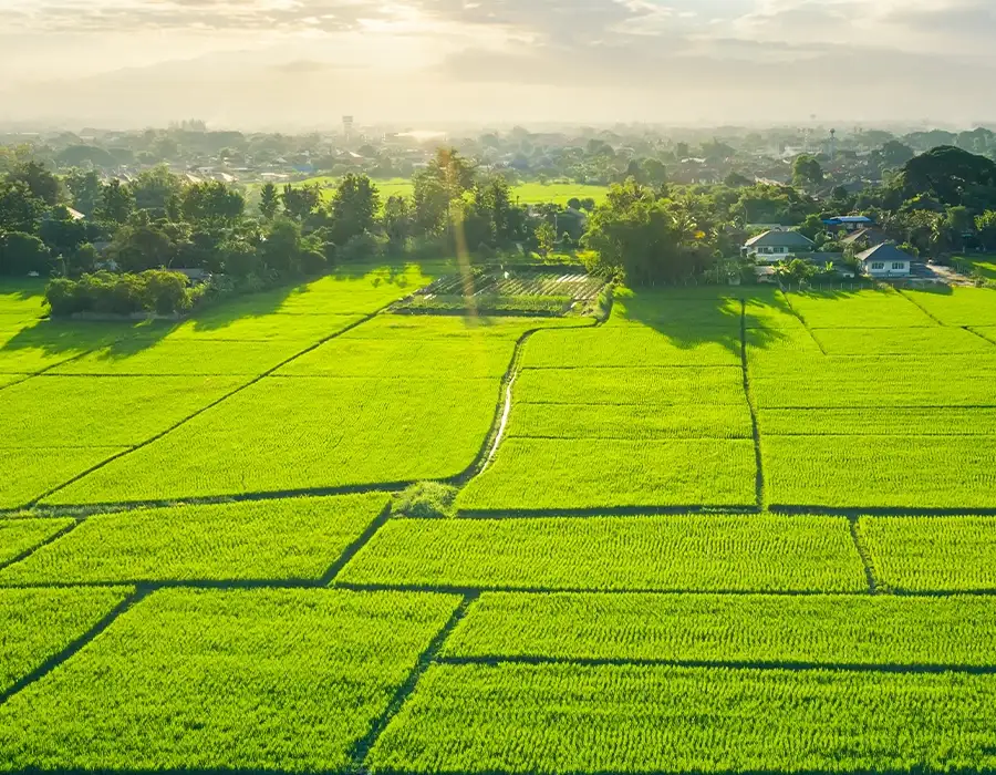 Neoliv Homes Neoliv Homes