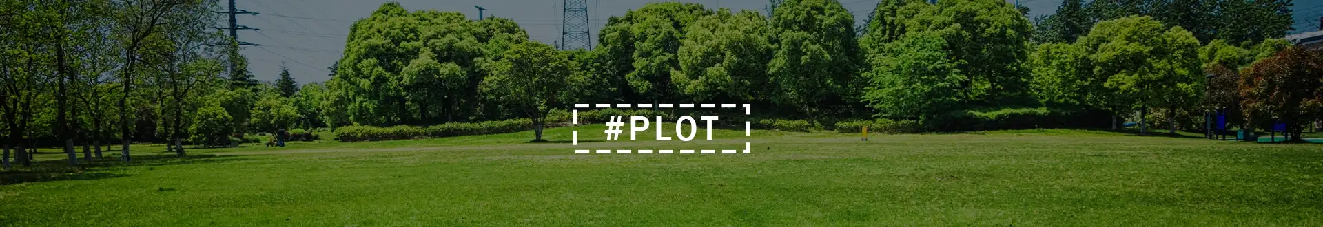 Neoliv Grand Forest Prive 1