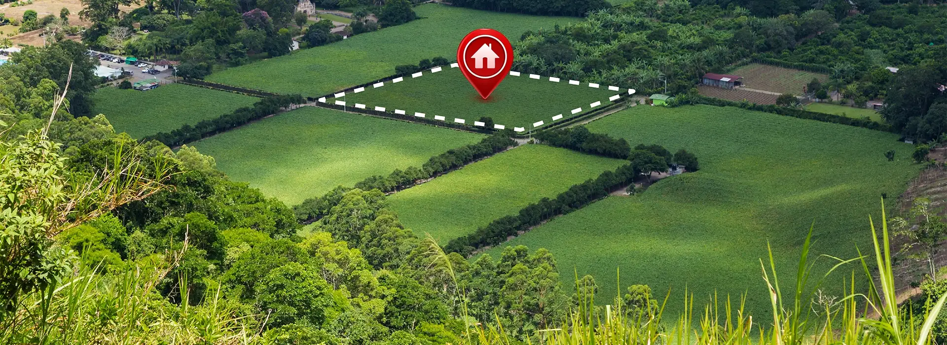 Neoliv Grand Forest Prive 1