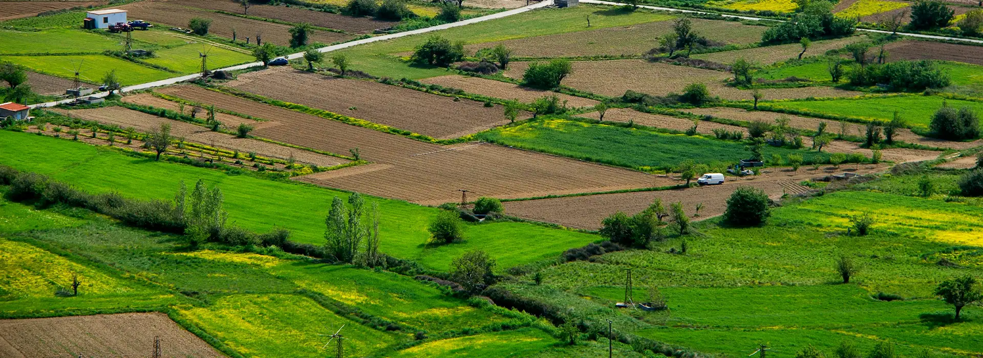 Neoliv Grand Forest Prive 1