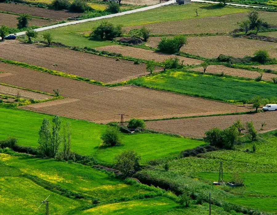 Neoliv Grand Forest Prive 1